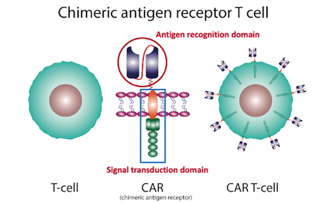 Domena za prepoznavanje